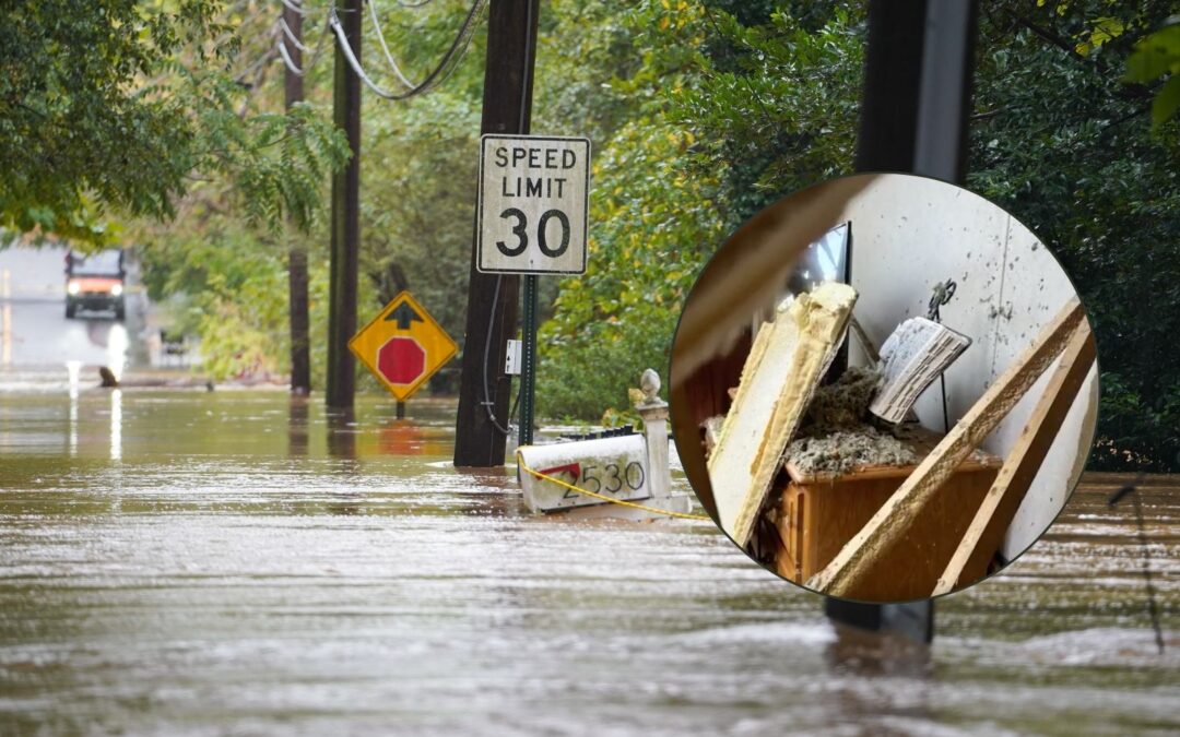 Grandma’s Bible Left Untouched After Hurricane Destroys Her Home